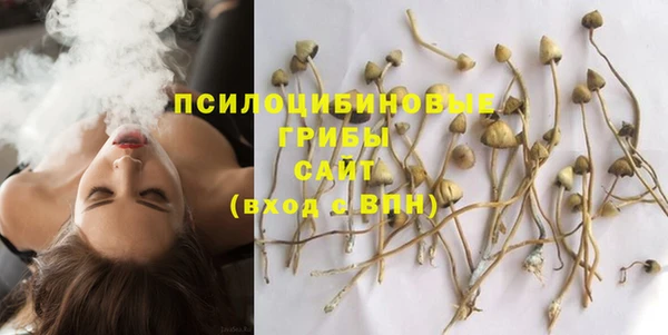 ешки Бугульма