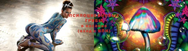 метадон Бородино