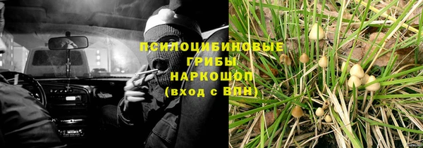 ешки Бугульма