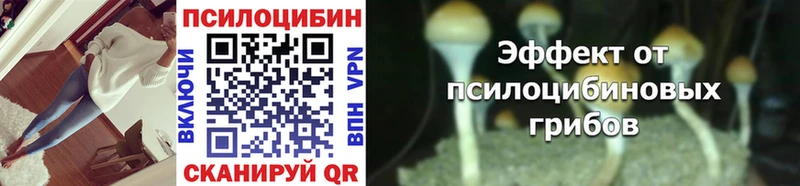 Купить  Мегион  Псилоцибиновые грибы Psilocybine cubensis 